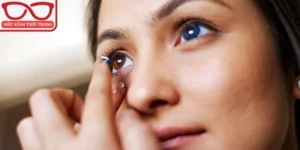 Kính áp tròng cận loạn điểm đến mua sắm lý tưởng