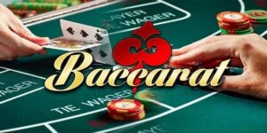Baccarat tại nhà cái Bongvip hay hơn bài cao như thế nào